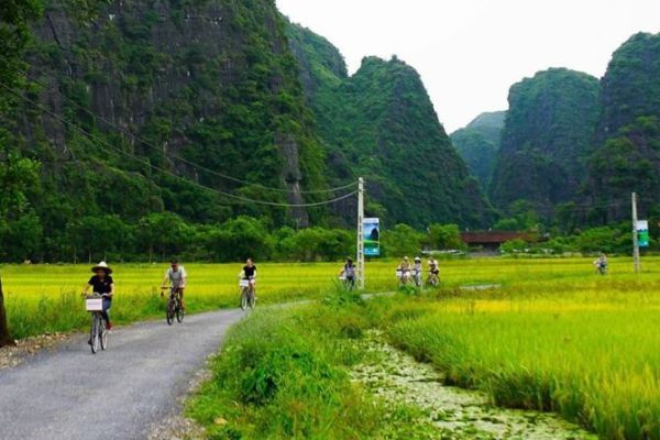 Cycling experience in Ninh Binh